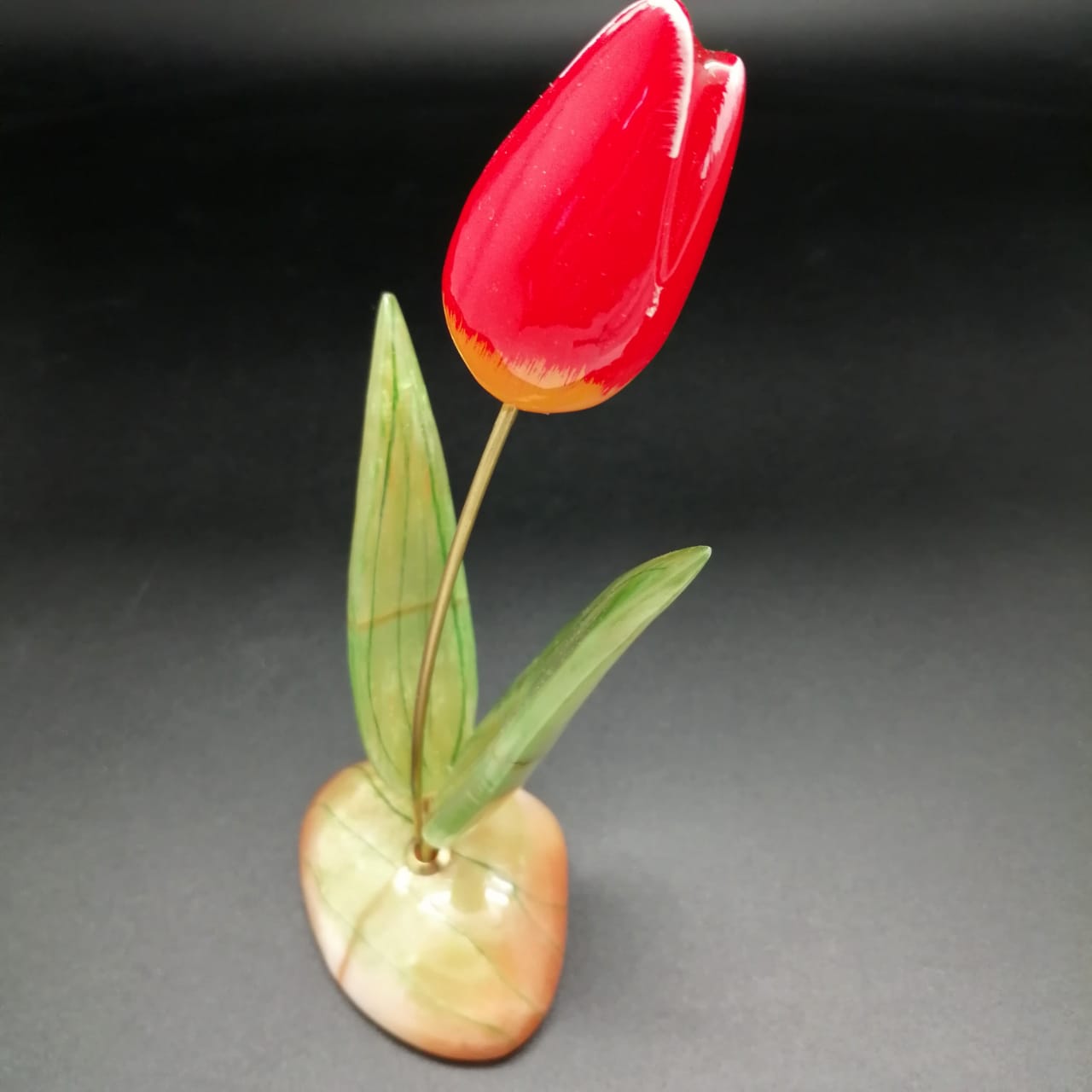 картинка Красный тюльпан от магазина El Corazon